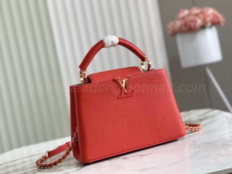 LV Handbags 293